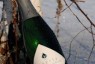 libertu.dzirkstosais.vins (1)